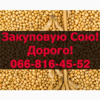 На постійній основі закуповую Сою у будь якому обсязі