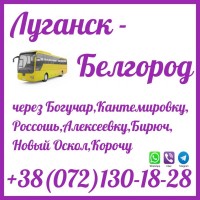 Автобус Луганск - Краснодон - Россошь - Бирюч - Новый Оскол - Белгород