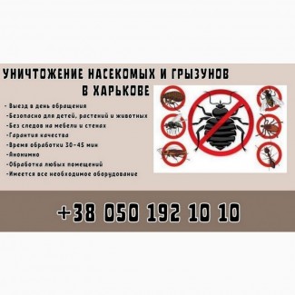 Услуги по уничтожению грызунов и насекомых в Харькове