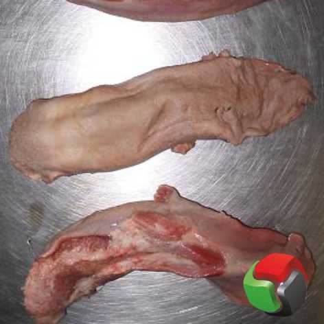 Фото 2. Продам язык свиной от 1-й тонны
