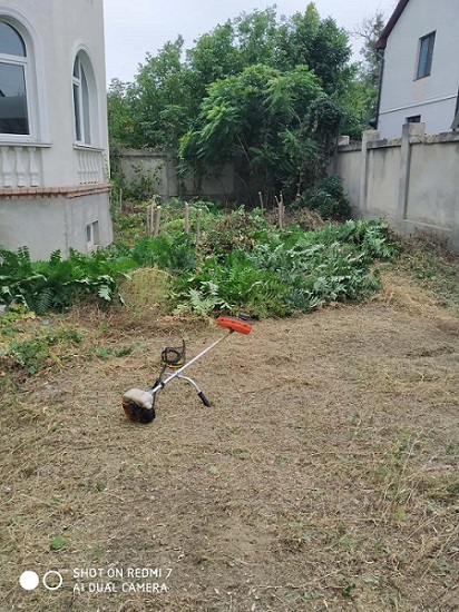 Фото 2. Добросовестно покосим траву, уборка участка, вспашка огорода