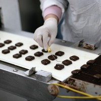 Работа на шоколадной фабрике в Чехии - для женщин