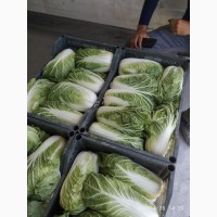 Срочно продам овощи и фрукты от Узбекского производителя