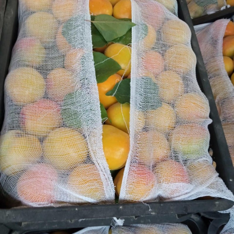 Фото 14. Срочно продам овощи и фрукты от Узбекского производителя