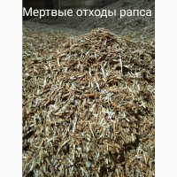 Продам мертвые отходы рапса на брикеты для топки. На масло не подходят