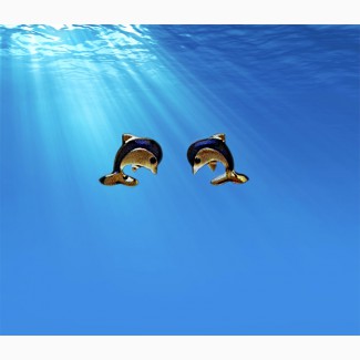 Серьги Energetix дельфинчики, лечебные магнитные