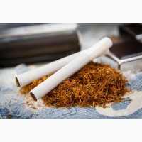 Ферментований тютюн, без палок і сміття Ксанті, Вірджинія Голд, Прилуки, Махорка, Мальбор