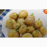 Смачна домашня картопля зі Львівщини