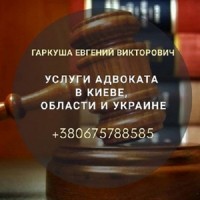 Услуги юриста и адвоката Киев