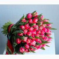 Тюльпаны к 8 марту. Приятные цены
