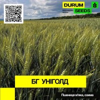 Насіння пшениці BG Unigold / БГ Уніголд (озима / остиста) Durum Seeds