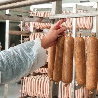 Работа для мужчин на производстве колбас в Чехии