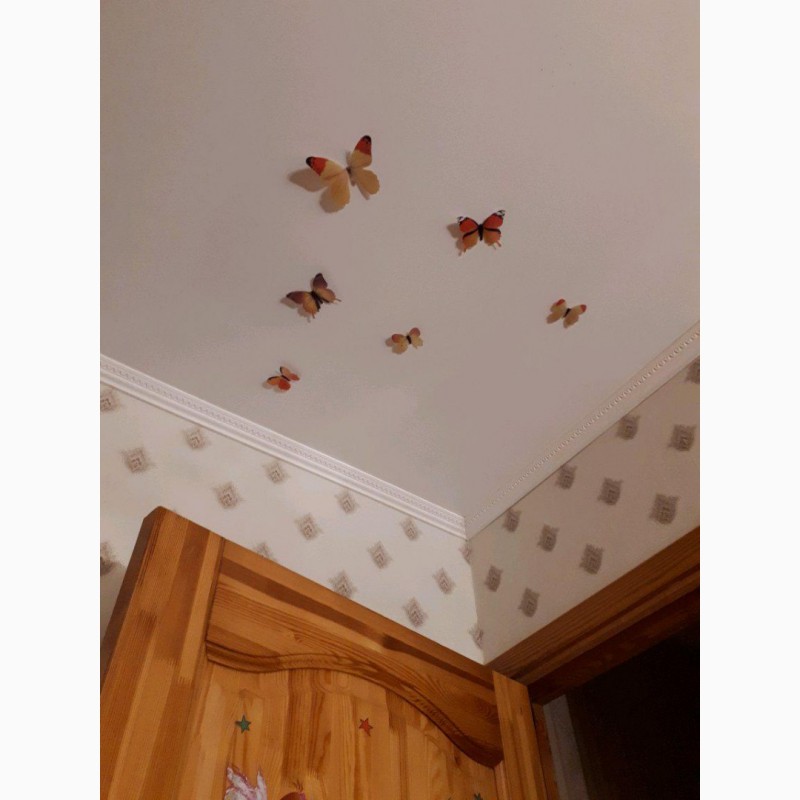 Фото 7. Бабочки 3 декор на холодильник, обои, зеркала