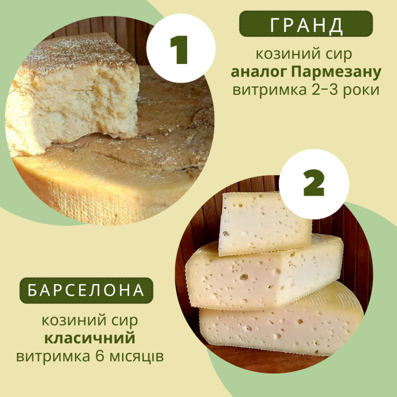Фото 2. Сирний сет з 11 видів козиного сиру