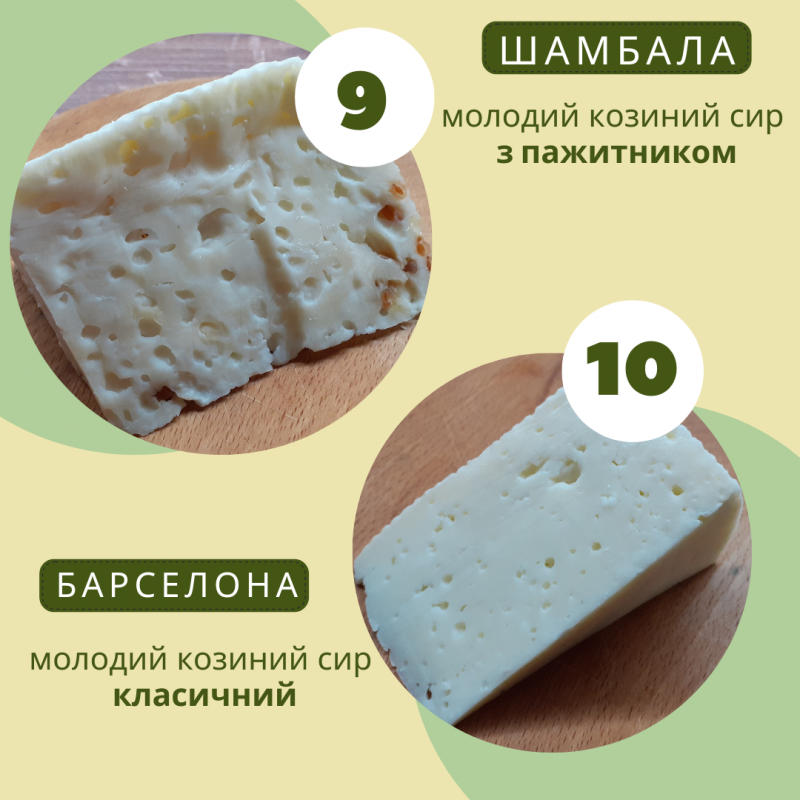 Фото 6. Сирний сет з 11 видів козиного сиру
