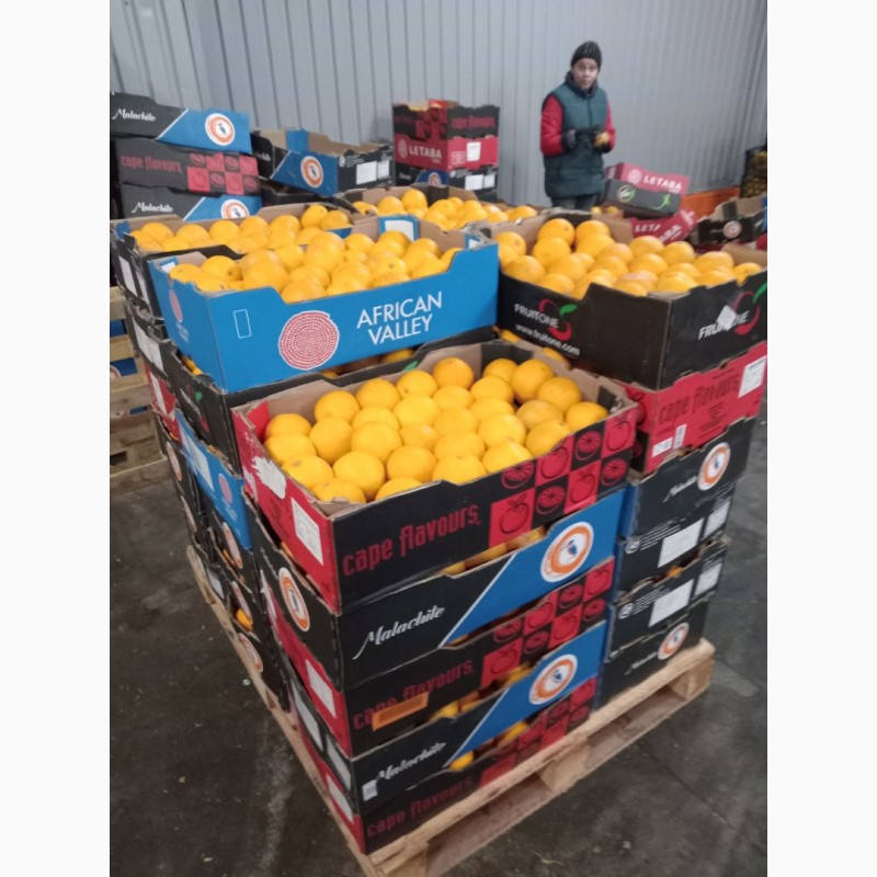 Фото 9. Гурт продаж фрукти овочі ціни опт фрукты овощи апельсин лимон мандарин, Вишневе