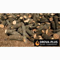 Drova-plus виготовляє у Рожищах дрова рубані дрова метровий кругляк